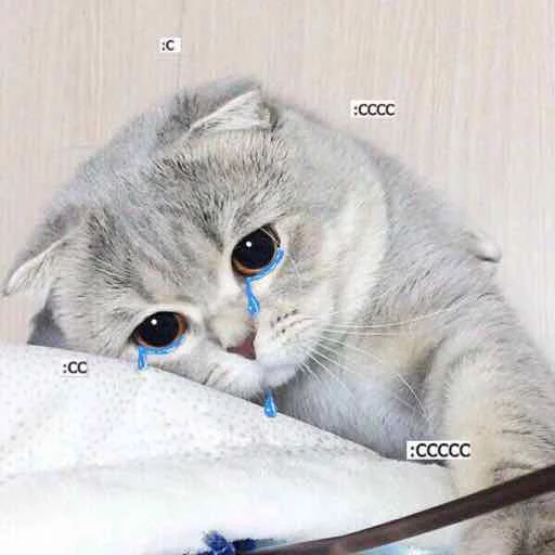 😿 Стикер «Kotya kot» для Telegram