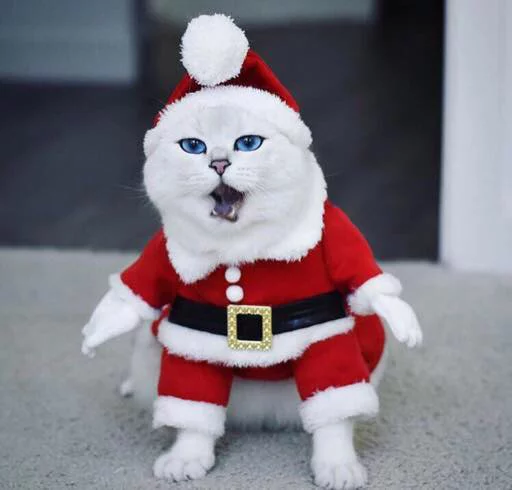 🎅 Стикер «Kotya kot» для Telegram