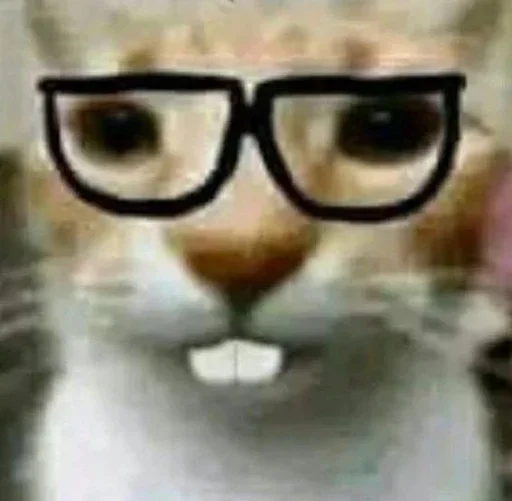 😺 Стикер «Котяо 1» для Telegram