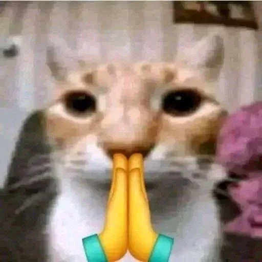 😺 Стикер «Котяо 1» для Telegram