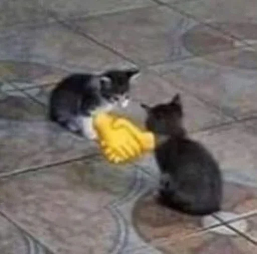 😺 Стикер «Котяо 1» для Telegram