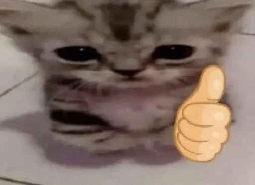 😺 Стикер «Котяо 1» для Telegram
