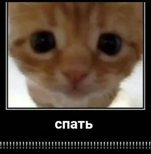 😺 Стикер «Котяо 1» для Telegram