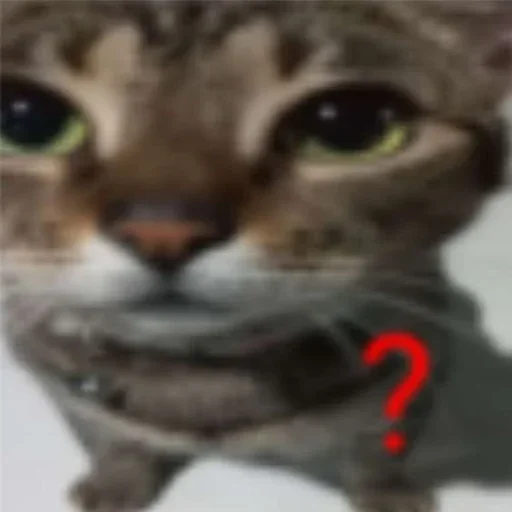 😺 Стикер «Котяо 1» для Telegram