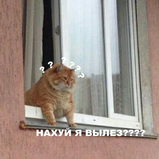 🤯 Стикер «kotyaspack» для Telegram