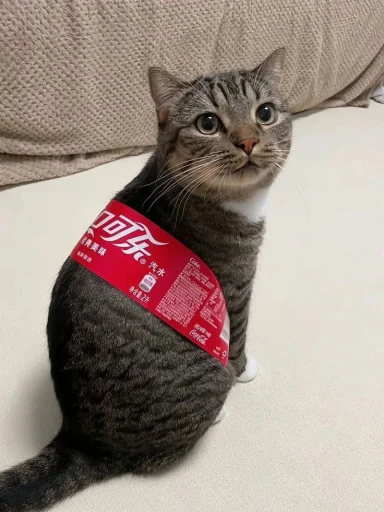 🤩 Стикер «Котяяяяя» для Telegram
