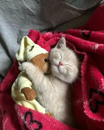 😚 Стикер «Котята» для Telegram