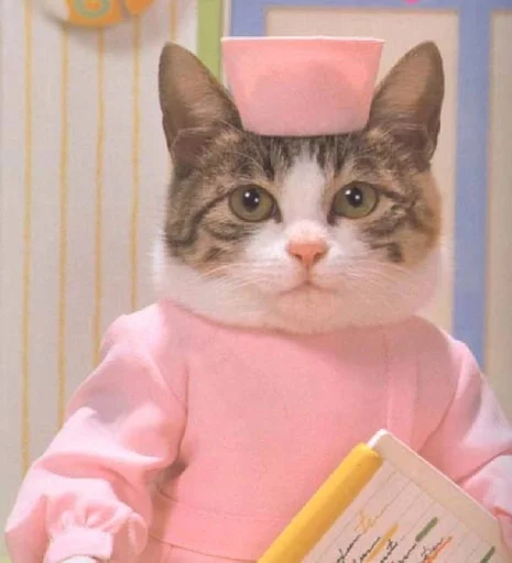 🐱 Стикер «Котявы» для Telegram