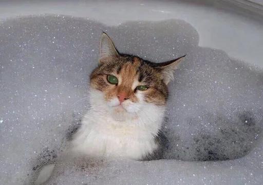 🐱 Стикер «Котявы» для Telegram