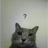 ❔ Эмодзи «котя» для Telegram