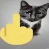 🖕 Эмодзи «котя» для Telegram