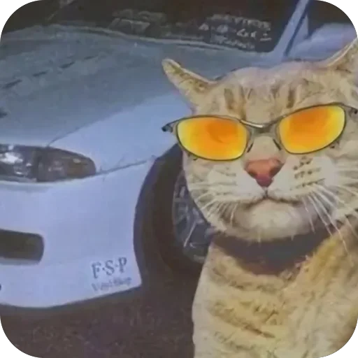 🫥 Стикер «Коты и машины» для Telegram
