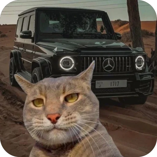 🫥 Стикер «Коты и машины» для Telegram