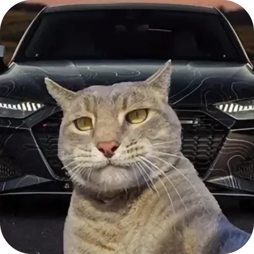 🫥 Стикер «Коты и машины» для Telegram