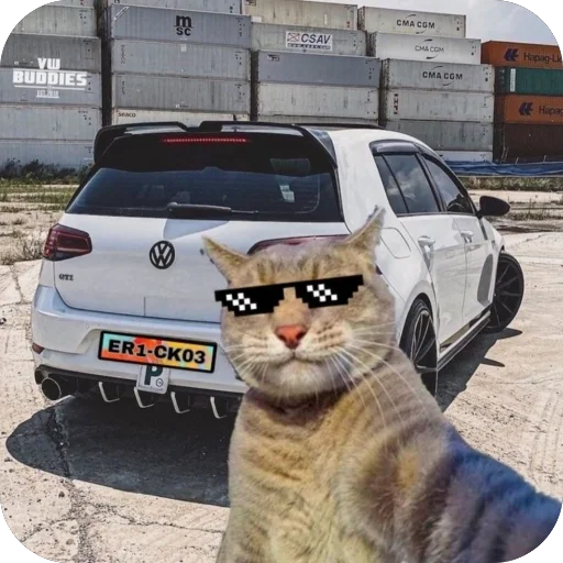 🫥 Стикер «Коты и машины» для Telegram