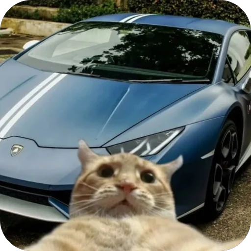 🫥 Стикер «Коты и машины» для Telegram