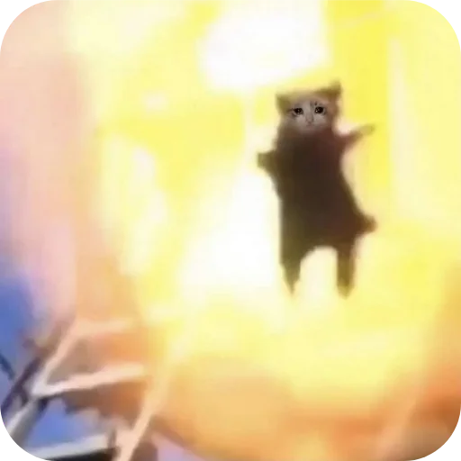 🤳 Стикер «Котыкы» для Telegram