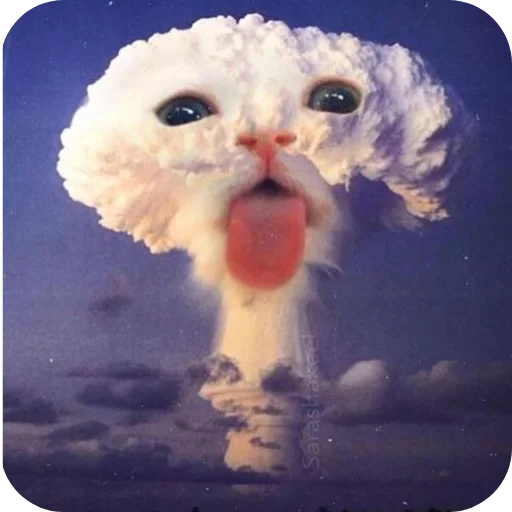 🌌 Стикер «Котыкы» для Telegram
