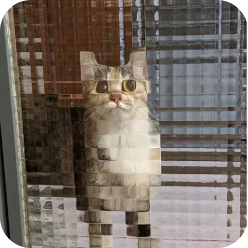 🧱 Стикер «Котыкы» для Telegram