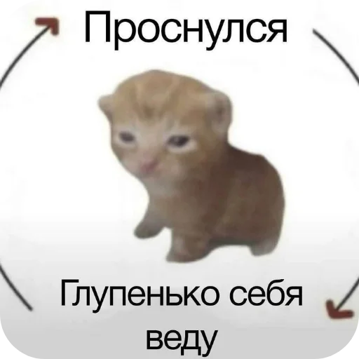 🐱 Стикер «Котыкы» для Telegram