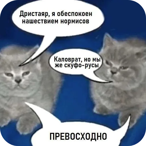 🐱 Стикер «Котыкы» для Telegram