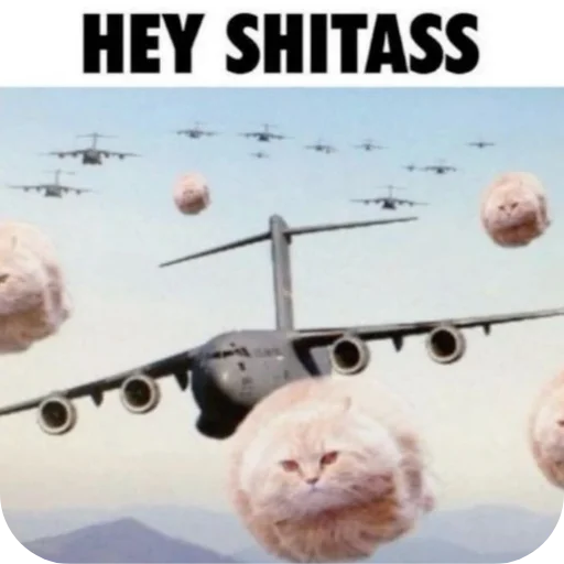 🛩 Стикер «Котыкы» для Telegram