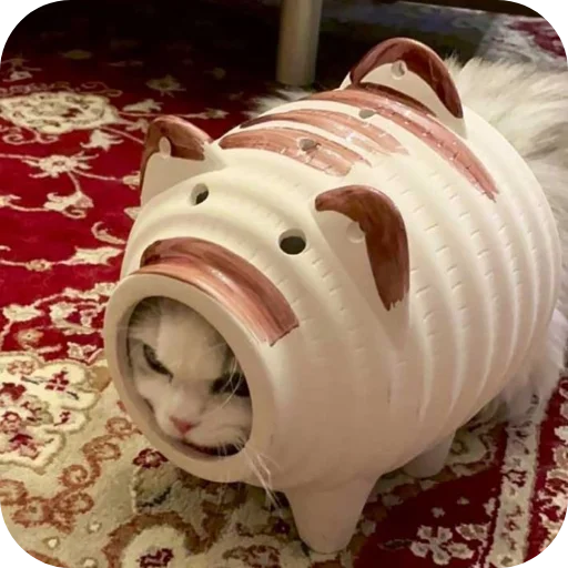 🐖 Стикер «Котыкы» для Telegram