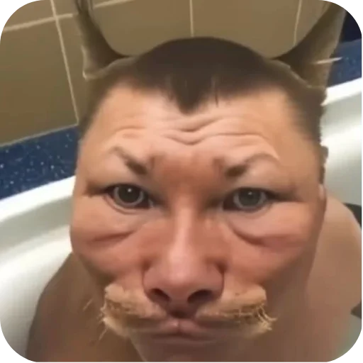 🤲 Стикер «Котыкы» для Telegram