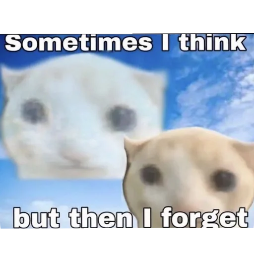 🐶 Стикер «Котыкы» для Telegram