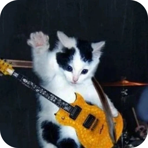 🐱 Стикер «Котыкы» для Telegram