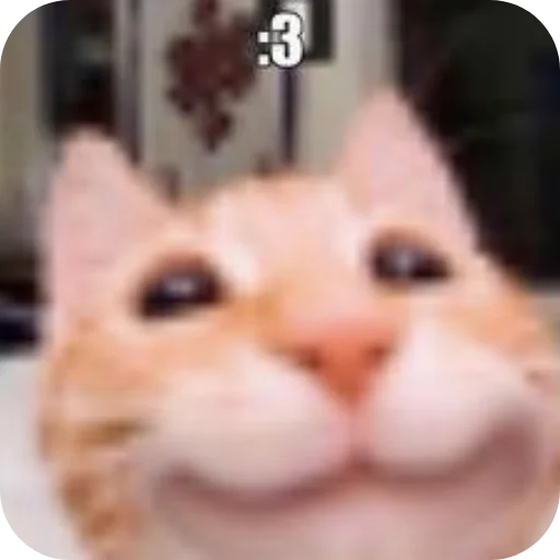 🤲 Стикер «Котыкы» для Telegram