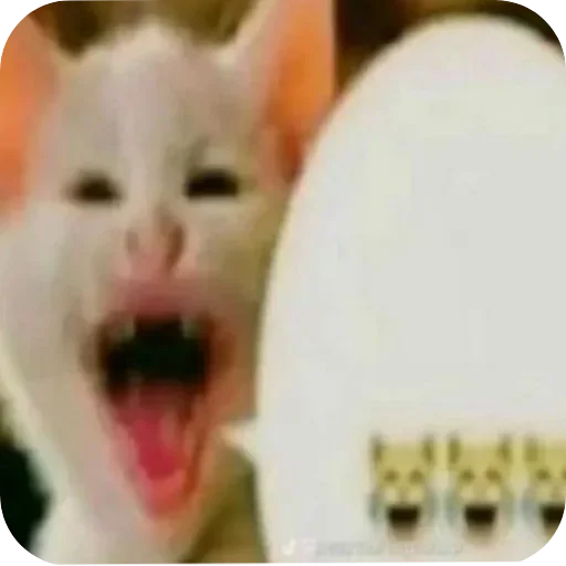 😺 Стикер «Котыкы» для Telegram