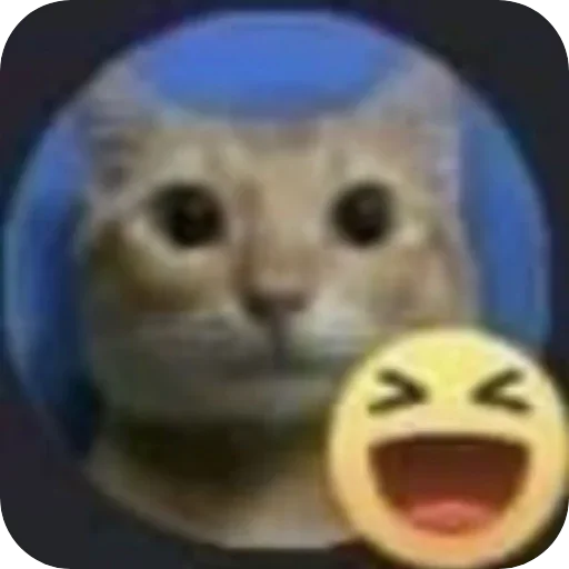 🐱 Стикер «Котыкы» для Telegram