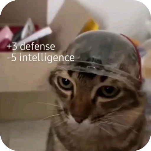 🐱 Стикер «Котыкы» для Telegram