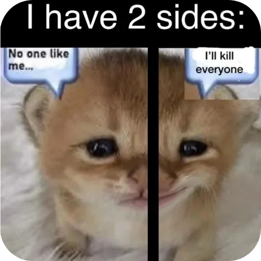 🐱 Стикер «Котыкы» для Telegram