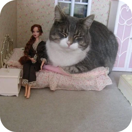 🐱 Стикер «Котыкы» для Telegram
