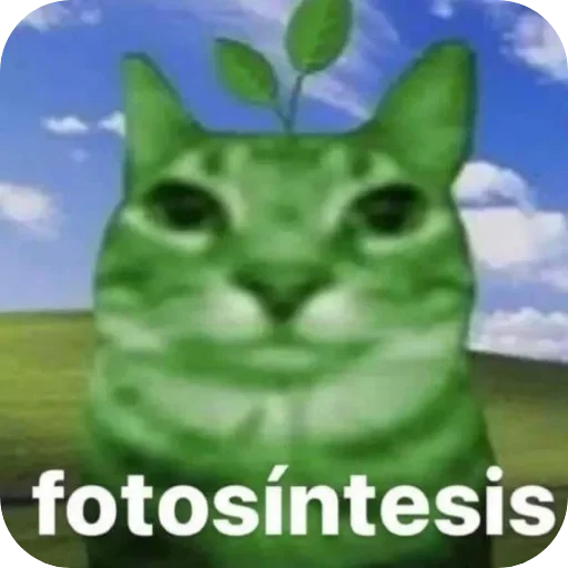 🖼 Стикер «Котыкы» для Telegram