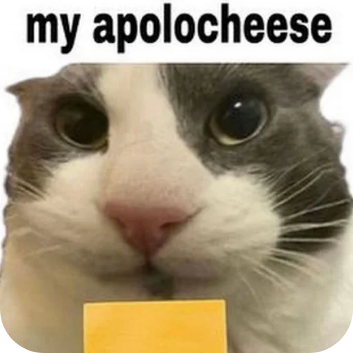 🐱 Стикер «Котыкы» для Telegram