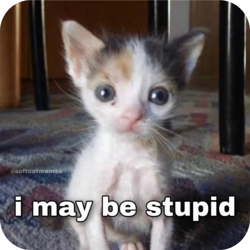 🐱 Стикер «Котыкы» для Telegram