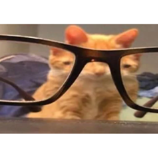 😐 Стикер «mini cats» для Telegram