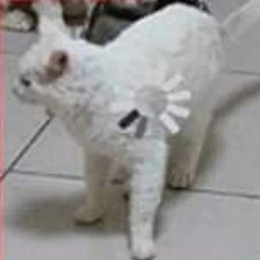 🤨 Стикер «mini cats» для Telegram