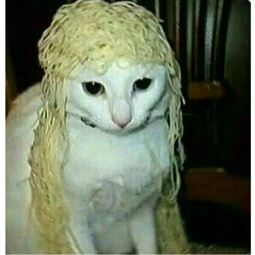😕 Стикер «mini cats» для Telegram