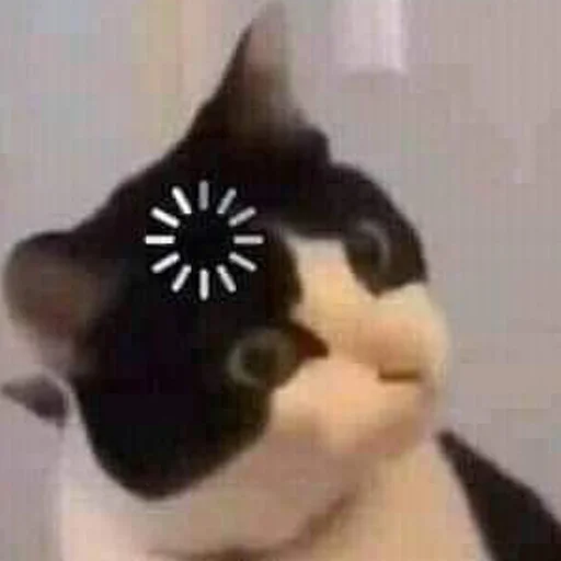🧐 Стикер «mini cats» для Telegram