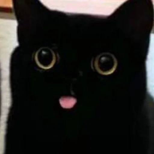 😛 Стикер «mini cats» для Telegram