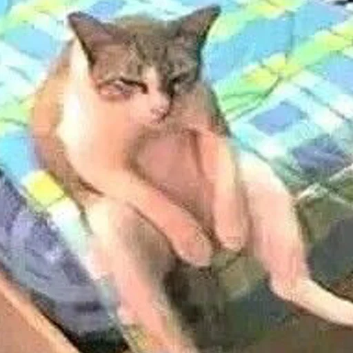 😕 Стикер «mini cats» для Telegram