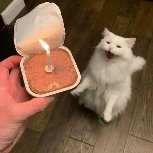 😊 Стикер «mini cats» для Telegram