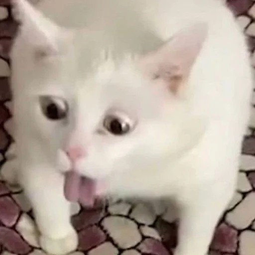 🤮 Стикер «mini cats» для Telegram