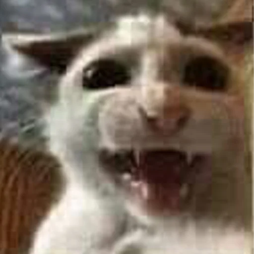 😫 Стикер «mini cats» для Telegram
