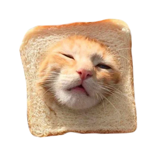 🐱 Стикер «Котенки» для Telegram