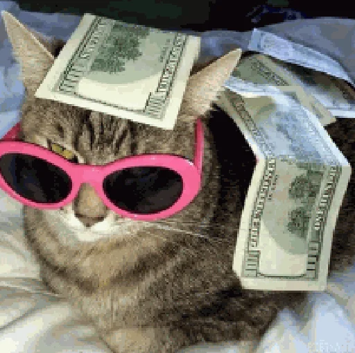 💰 Стикер «коты с бабками» для Telegram